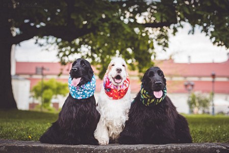 Raven & Gavrell & Rivia