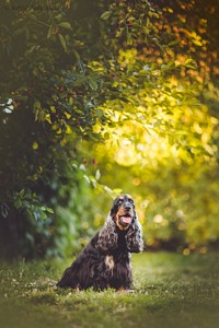Mazephinne at age 6 years