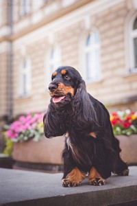 Pradephinne at age 2,5 years
