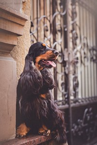 Pradephinne at age 2,5 years