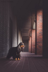 Pradephinne at age 2,5 years