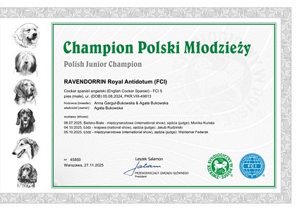 RAVENDORRIN Royal Antidotum