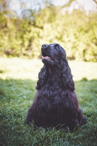 Rivienne at 8 months old