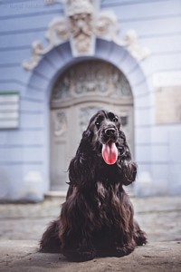 Rivienne at 10 months old