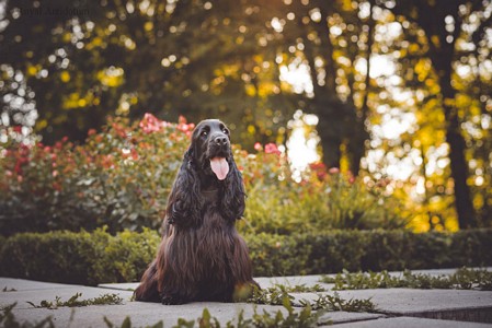 Rivienne at 12 months old