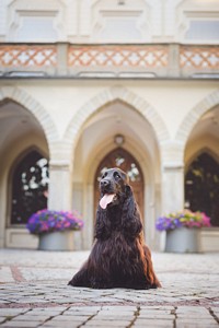Rivienne at 12 months old