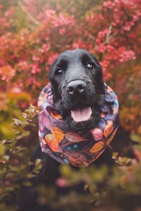 Rivienne w wieku 14 miesięcy