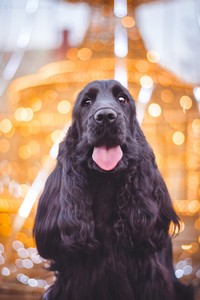 Rivienne at 16 months old