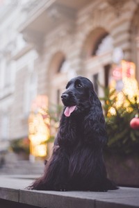 Rivienne at 16 months old