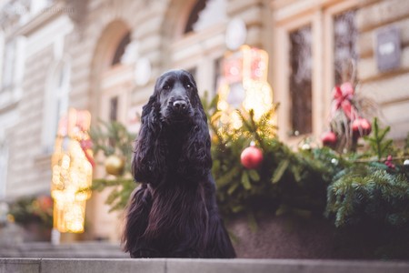 Rivienne at 16 months old