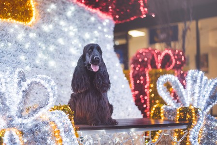 Rivienne at 16 months old