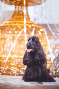 Rivienne at 16 months old